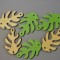 Fig.frunze filodendron 4cm s/100 nat verde