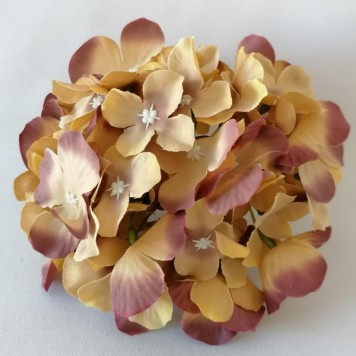 Capete hortensie 15cm maro