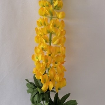 Fir lupina 120cm galben
