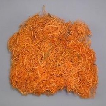 Curly moos inalbit piersica