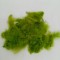 Pene 7-12cm 10gr. verde oliv