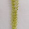 Fir curly S/30 mar verde