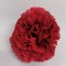 Cap garoafe 8cm S/12 rosu