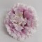 Cap garoafe 8cm S/12 mov deschis