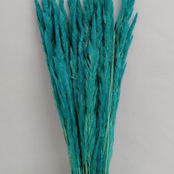 Iarba albastru deschis