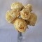 Buchet roz x8 27cm crem