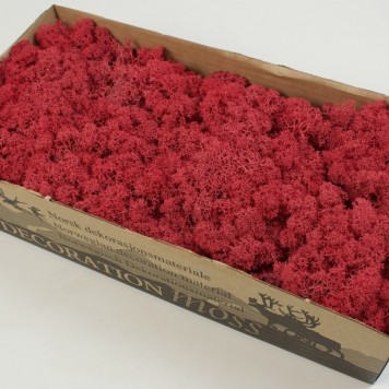Muschi Islanda 500gr rosu