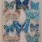 Fluturi cu clame 5-8cm S/10 albastru