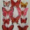 Fluturi cu clame 5-8cm S/10 rosu