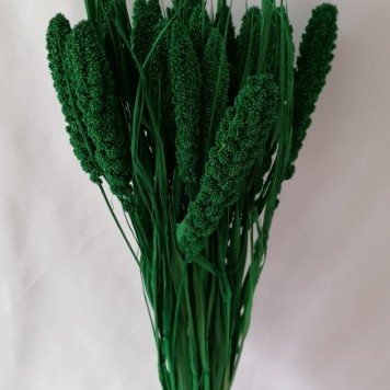 Ciumiz verde inchis