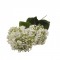 Fir calin x3 H:62cm alb