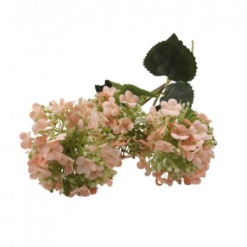 Fir calin x3 H:62cm piersica