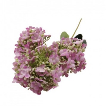 Fir calin x3 H:62cm mov