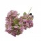 Fir calin x3 H:62cm mov