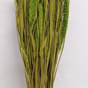 Mohor verde deschis