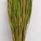Mohor verde deschis