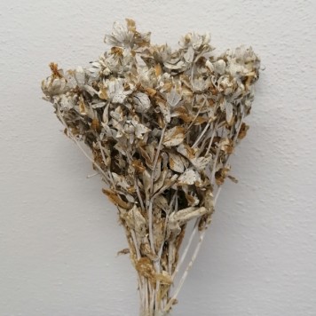 Sofran alb