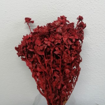 Sofran rosu