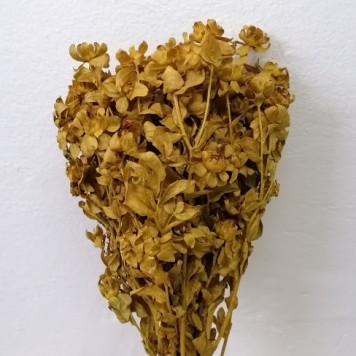 Sofran galben