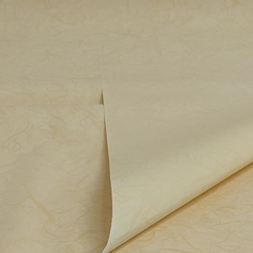 Folie polipropilena s/5 crem