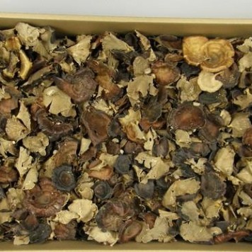 Ciuperci mixte natur 1.2kg
