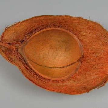 Nuca de cocos half cut vopsit portocaliu
