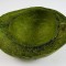 Nuca de cocos half cut verde deschis