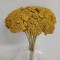 Achillea galben soare