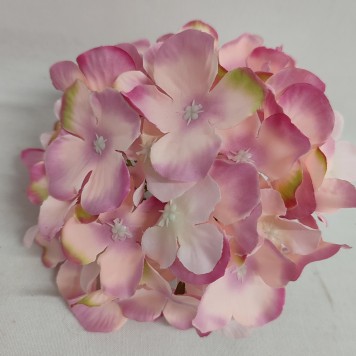 Capete hortensie 15cm S/12 nalba/verde