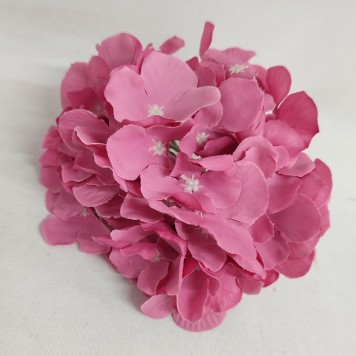 Capete hortensie 15cm S/12 nalba