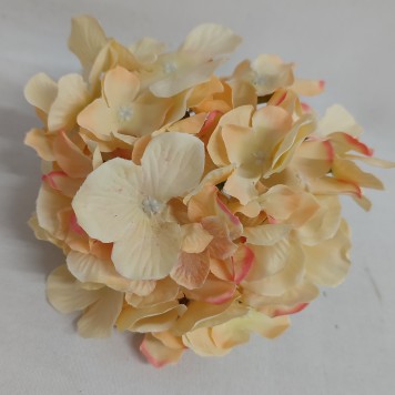 Capete hortensie 15cm S/12 somon