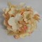 Capete hortensie 15cm S/12 somon
