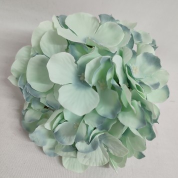 Capete hortensie 15cm S/12 turcoaz