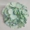 Capete hortensie 15cm S/12 turcoaz