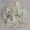 Capete hortensie 15cm S/12 roz deschis