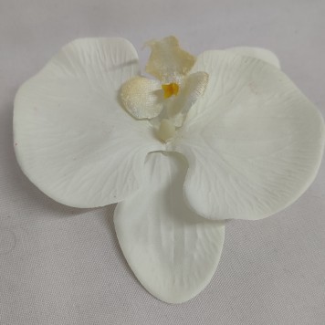 Cap orhidee 13cm S/24 crem