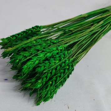 Grau fara arifte verde inchis