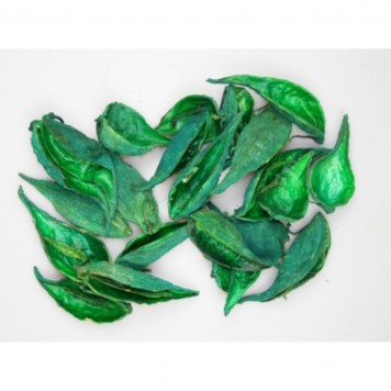 Tutun salbatic verde inchis