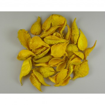 Tutun salbatic inalbit galben