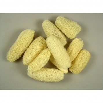 Luffa 8-10cm inalbit