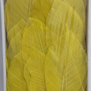 Frunze voal 20-30cm s/50 galben
