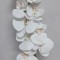 Fir orhidee 98cm alb