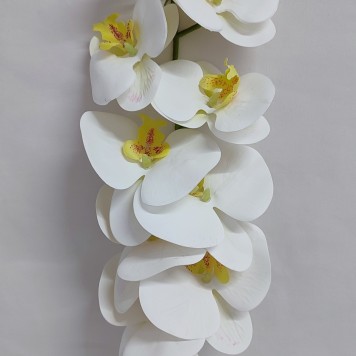 Fir orhidee 98cm alb/crem