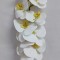 Fir orhidee 98cm alb/crem