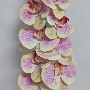 Fir orhidee 98cm crem/roz