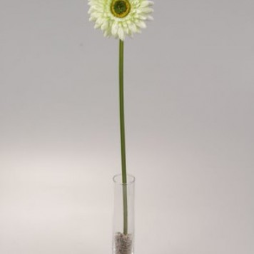 Fir gerbera 48cm verde