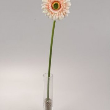 Fir gerbera 48cm piersica