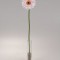 Fir gerbera 48cm roz