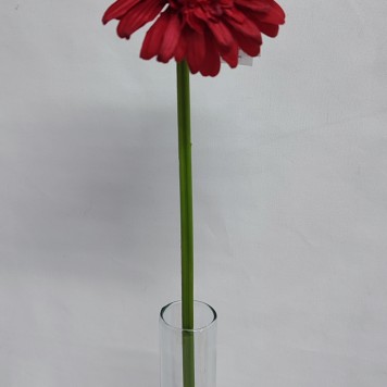 Fir gerbera 48cm rosu