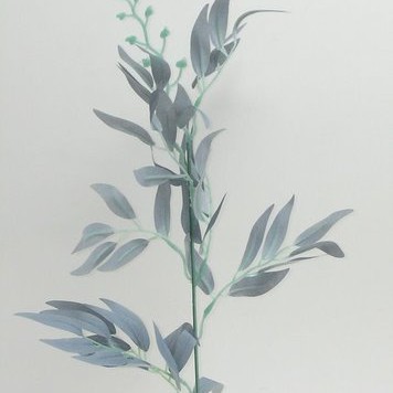 Creanga eucalypt S/12 60cm powder blue